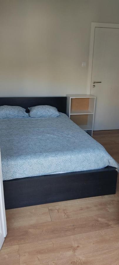 Guesthouse Porto Serpa Pinto エクステリア 写真